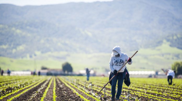 Region moves forward on plan to create more jobs