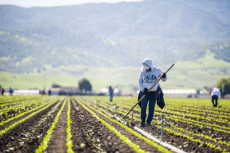 Region moves forward on plan to create more jobs