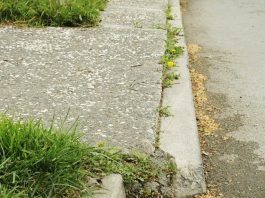 City officials dig into surface fault investigation