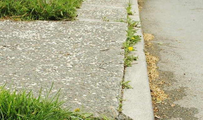 City officials dig into surface fault investigation