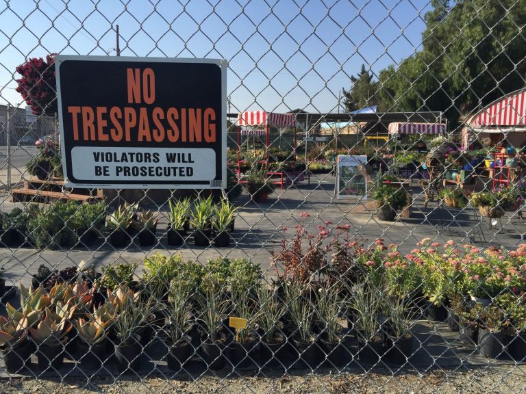 Outdoor garden creates haven for the homeless
