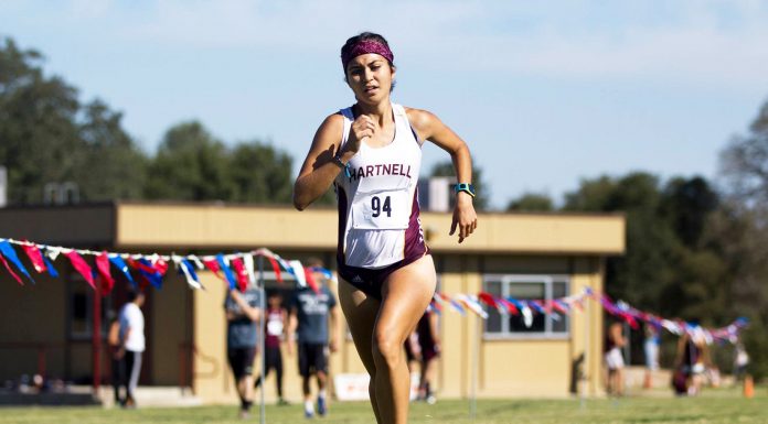 Cross Country: Felix faster than ever