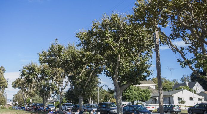 Hollister council to consider tree replacement, roof repair, library fee