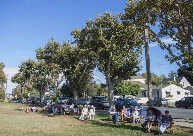 Hollister council to consider tree replacement, roof repair, library fee