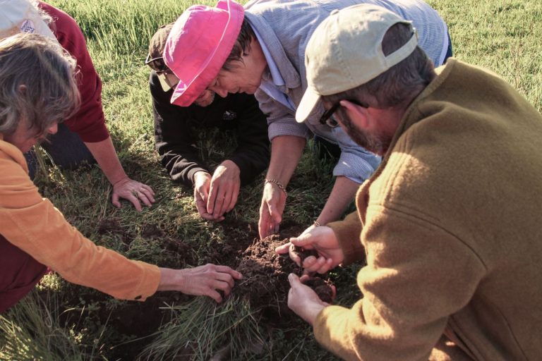 Paicines Ranch to host Holistic Management International