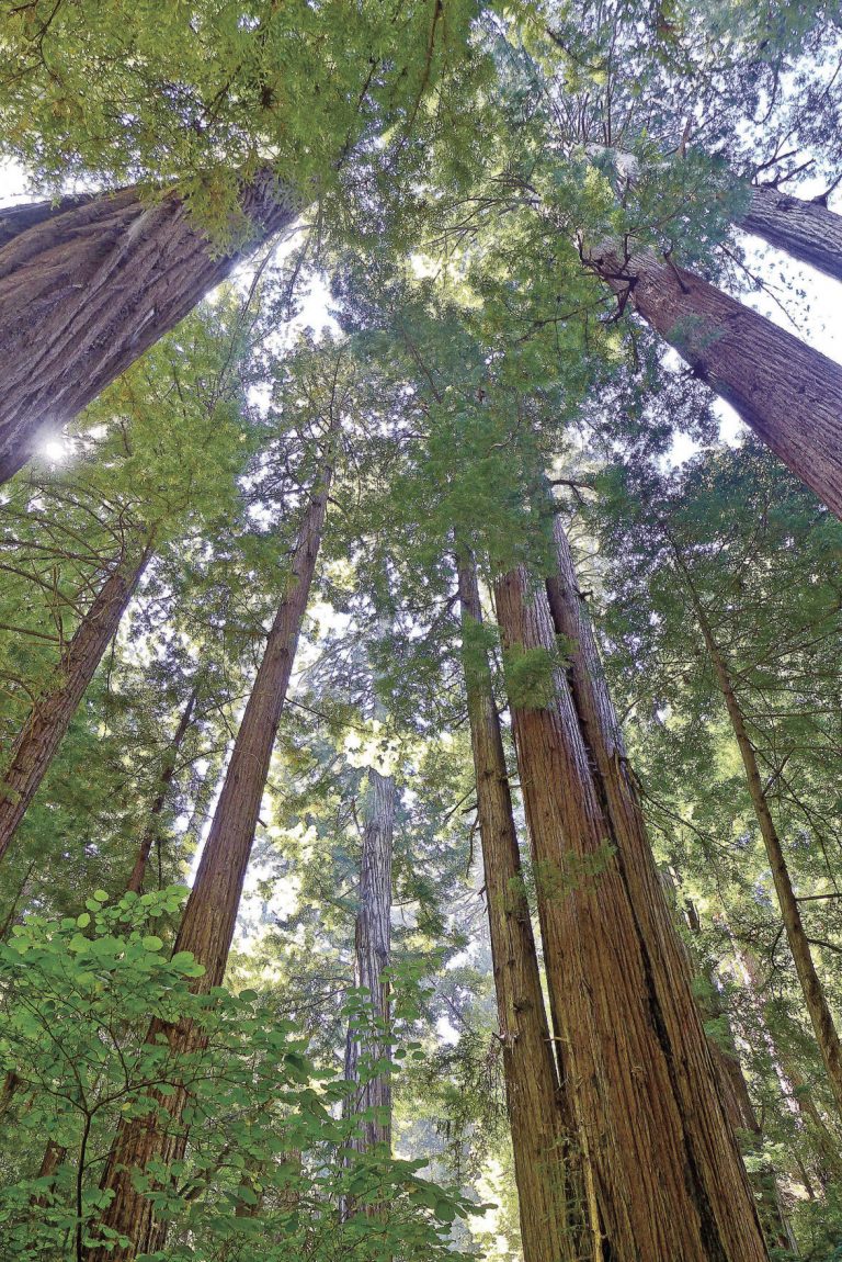 The best first backpack