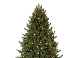 Recycle your Christmas tree in San Benito County