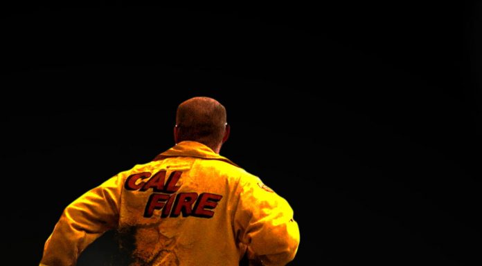 Records reveal tax-measure planning with use of city resources