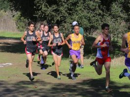 Cross Country: Balers prepare for CCS by sweeping league finals