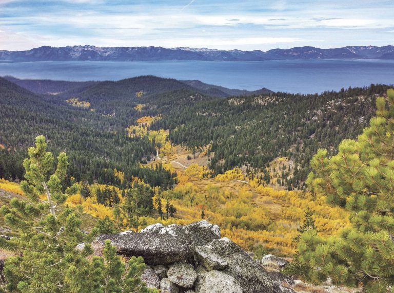 Challenge V—Calling all Adventurers!