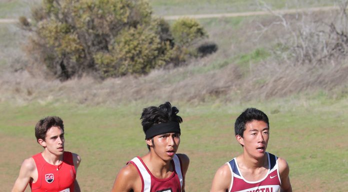 Cross Country: Garcia makes state; Balers solid again