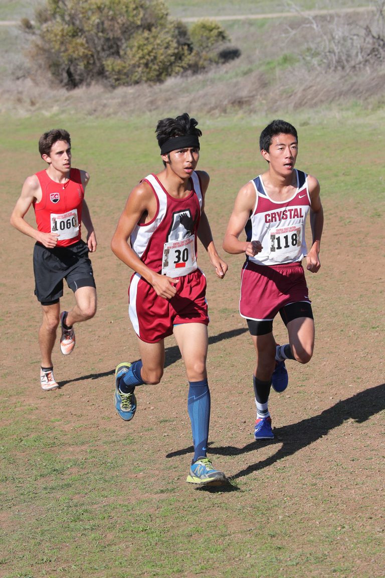 Cross Country: Garcia makes state; Balers solid again