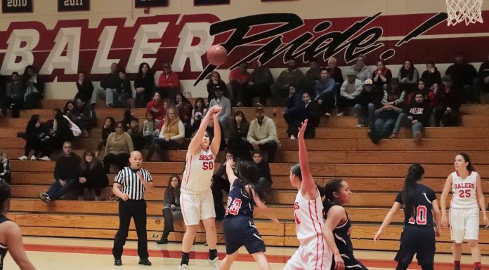 Basketball: Curto establishing post position