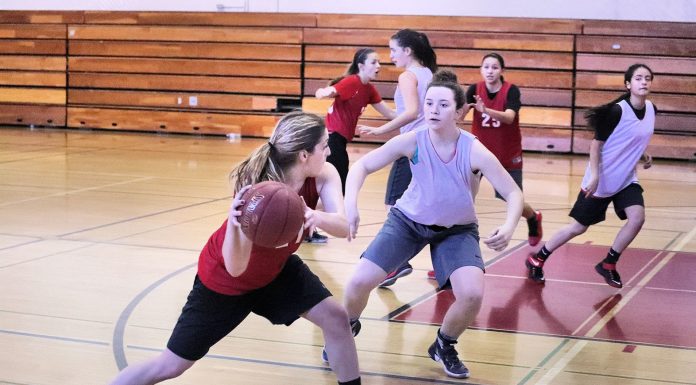 Basketball: Balers look solid again