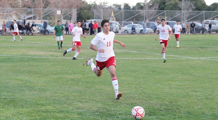 Soccer: Ceja an impact player