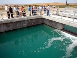 Guest view: Water softeners, a hard problem