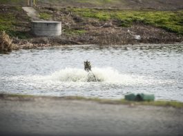 Talk over floating islands, tomato waste heats up