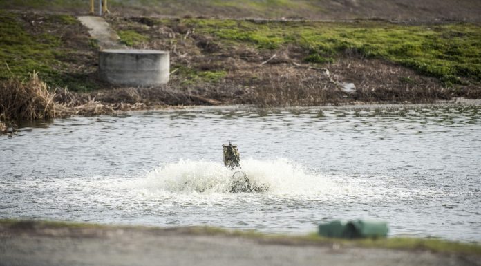Talk over floating islands, tomato waste heats up