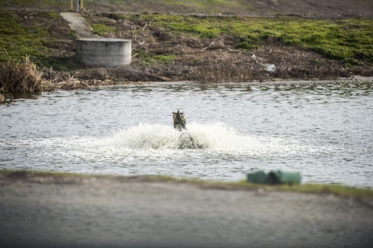 Talk over floating islands, tomato waste heats up