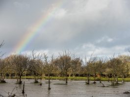 Rain-soaked lane gets some love