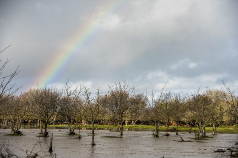 Rain-soaked lane gets some love