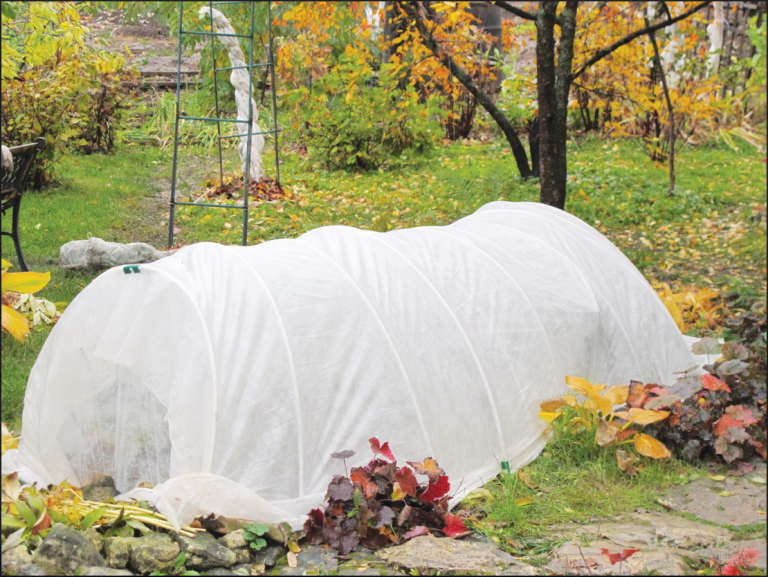 Baby it’s kale outside