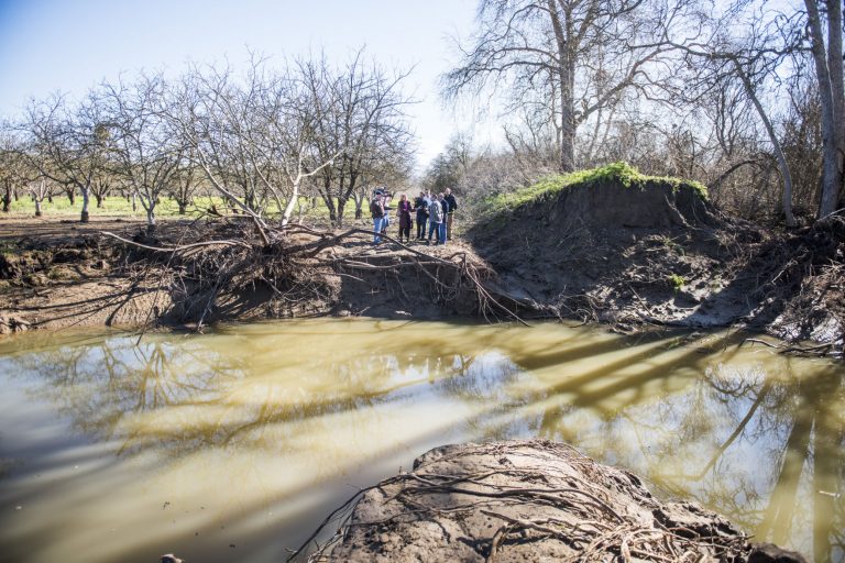 County hires contractors to clear creek debris, fix levee