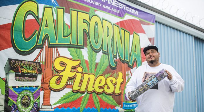 McPhail finds celebrity high life with licensing