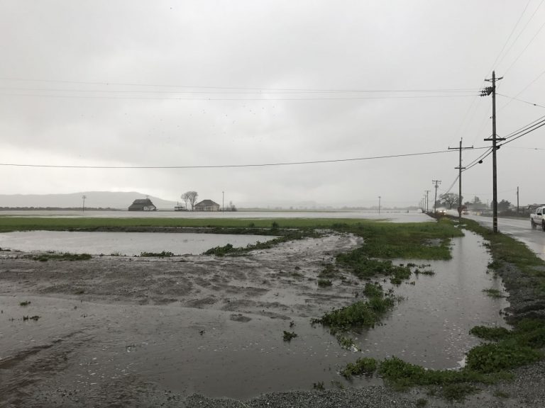 Levee repairs look likely