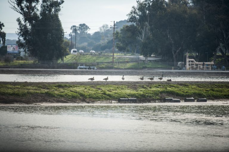 Manager talks development to business leaders