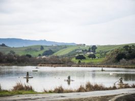 Mayor attempted to have city manager fired over spills