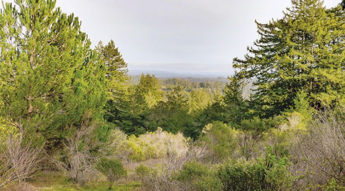 Deputies locate missing hikers in Clear Creek