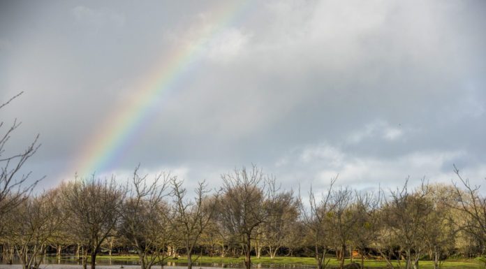 Latest on storms: Repairs to cost ‘millions’