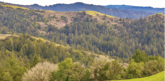 russian ridge ron erskine