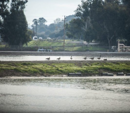 Hollister council updated on outdated sewage plan