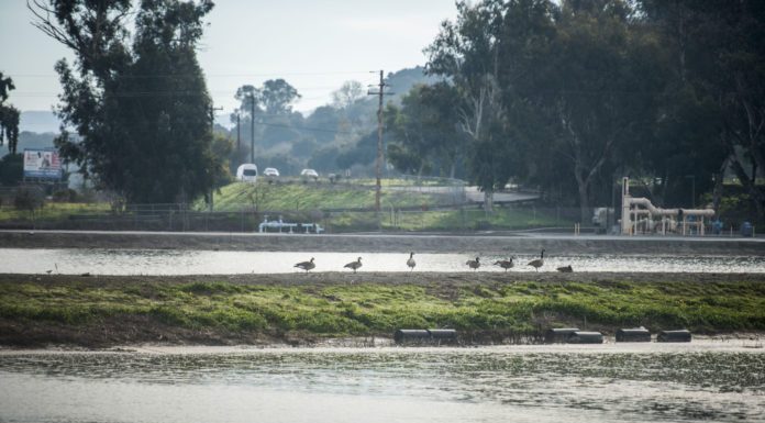 Hollister council updated on outdated sewage plan