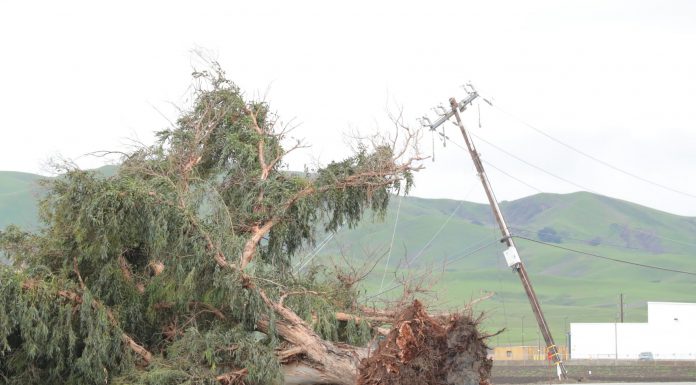 Donation fund set up for Prescott Road fire victims