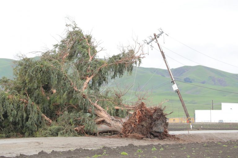 Donation fund set up for Prescott Road fire victims