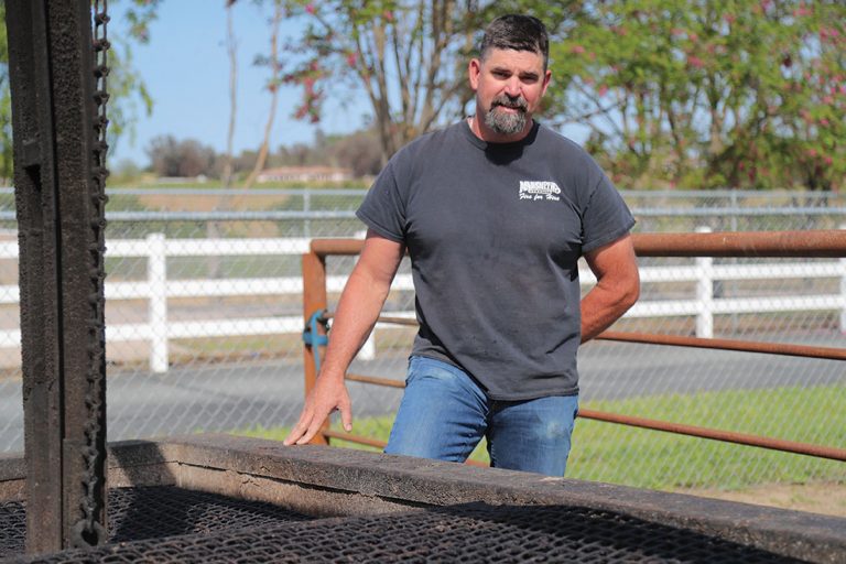 Now here’s the rub