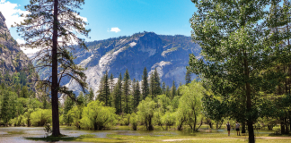 Yosemite's Mirror Lake