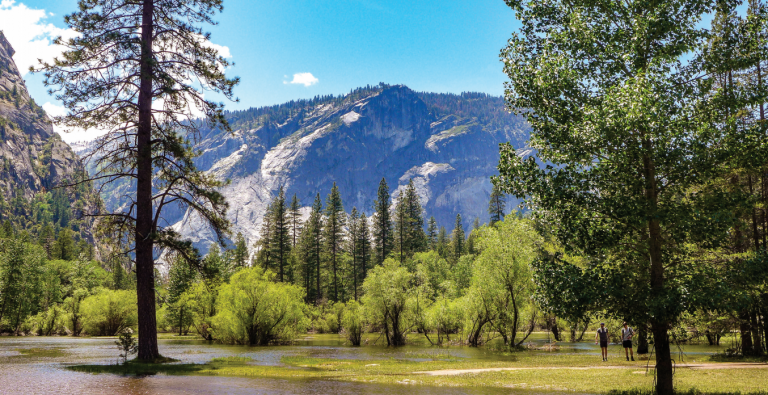 Yosemite's Mirror Lake