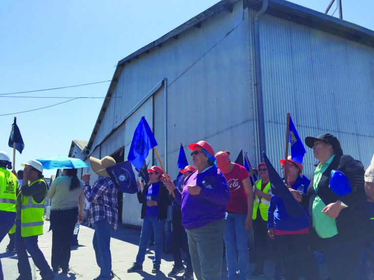 Workers fired after cannery strike are appealing