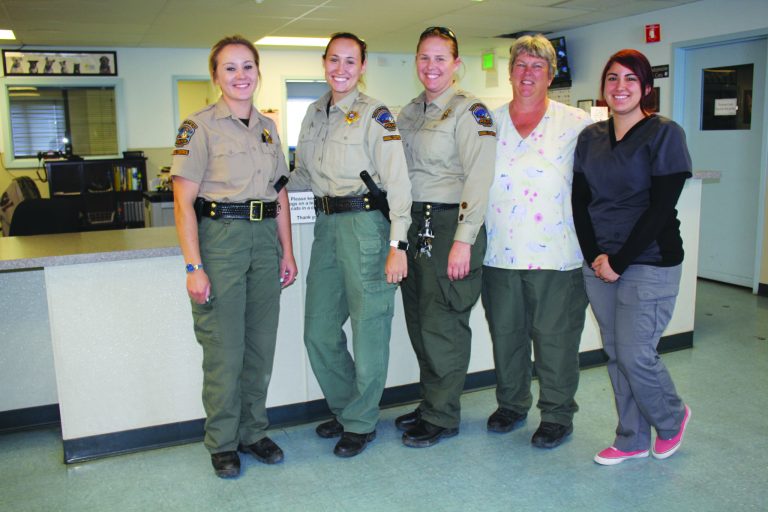 Animal shelter offers forever homes