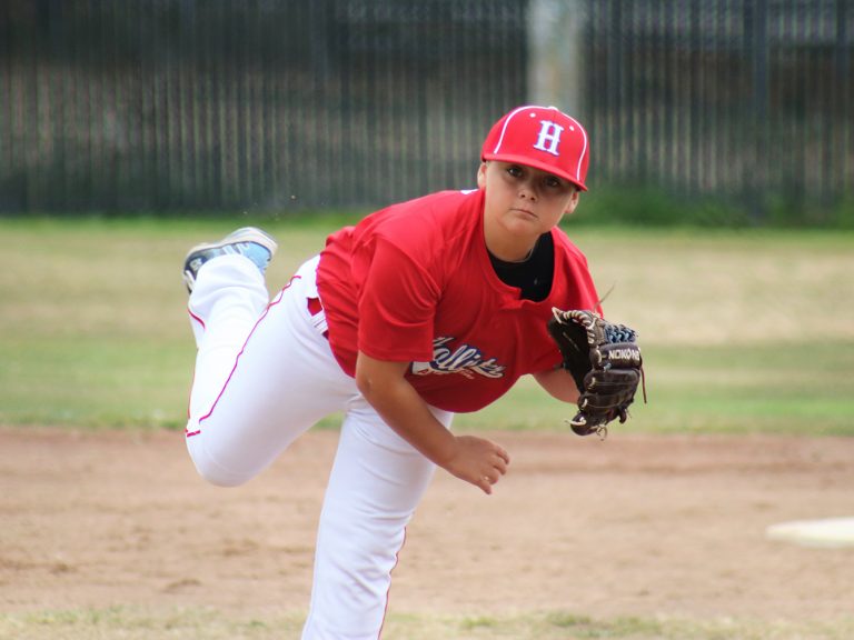 Hollister All Stars rule District 9 again