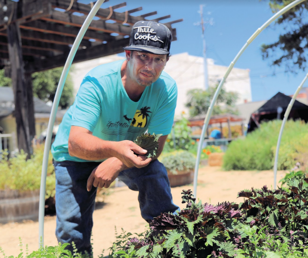 SanBenito.com | Edible Garden