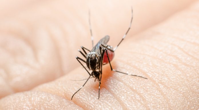 West Nile virus found in San Benito County