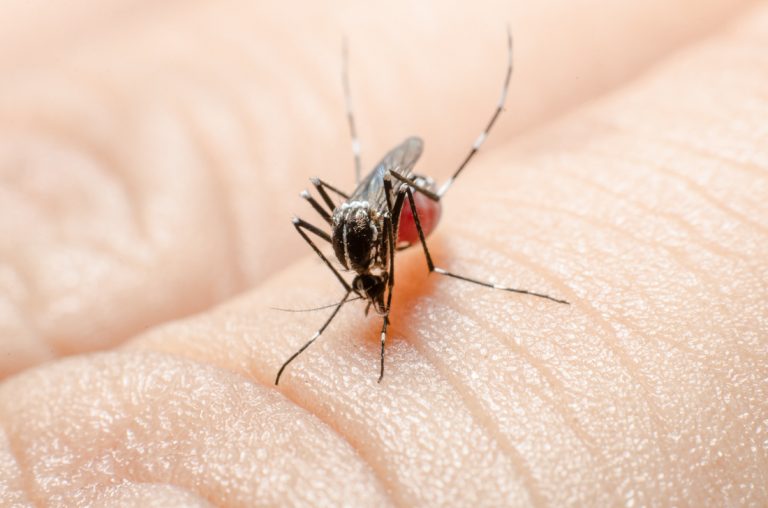 West Nile virus found in San Benito County