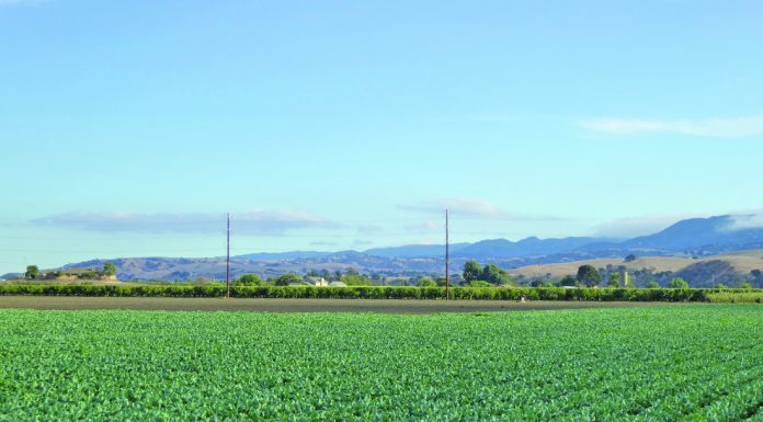 No rain may not mean a drought — yet