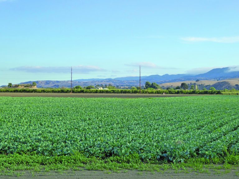 No rain may not mean a drought — yet