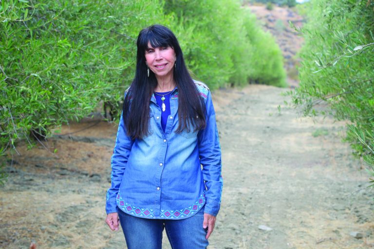 Gold medal olive oil in Paicines